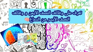 تعرف على وظائف النصف الأيمن و وظائف  النصف الأيسر من الدماغ🧠