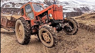 Трактор Т 40 с прицепом  навоза l Tractor T40 with а  manure trailer l Тестдрайв