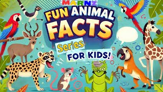 “MARNZ Animal Fun Facts for Kids: Discover the Wild and Wacky World of Animals!”