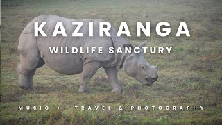 Discover Kaziranga: Assam’s UNESCO World Heritage Wildlife Sanctuary