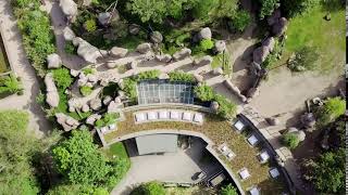 Epic 4K Footage of Leipzig Zoo | Snippet | Free Download