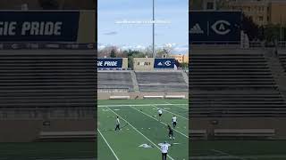 UC Davis Punter Dan Whelan - ProDay Punts Preview