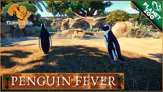 ZooLittles: North Africa Ep. 3 - Penguin Fever | 🦁 Planet Zoo