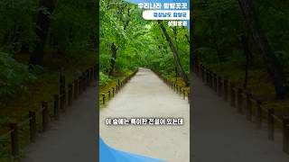 [상림공원] 국내에서 가장 오래된 인공 숲인 경상남도 함양군의 상림공원 [우리나라 방방곳곳 #6]