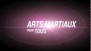 Alchimie  arts martiaux pour tous