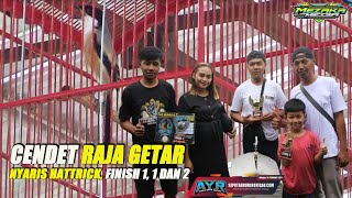 CENDET RAJA GETAR NYARIS HATTRICK BORONG JUARA DI Road Show AYR