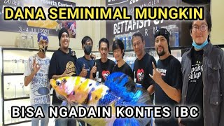 KONTES CUPANG IBC TANPA DIHADIRI PESERTA || Betta Fish C7 Reborn