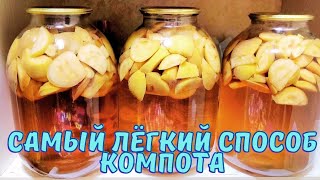 УЗНАЛА НОВЫЙ МЕТОД/ ЦВЕТЕНИЕ ГОРШЕЧНЫХ ЛИЛИЙ/ РАЗМНОЖАЮ КЛУБНИКУ