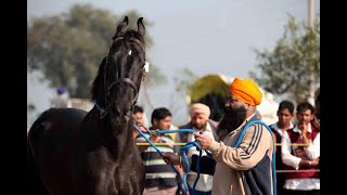 Tribute to late legend buland majhuke first son of fauji