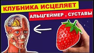 КЛУБНИКА ИСЦЕЛИТ организм ! 99 %  людей НЕ ЗНАЮТ об этом !