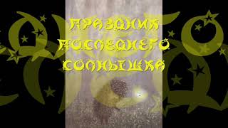 «ПРАЗДНИК ПОСЛЕДНЕГО СОЛНЫШКА», С.Г. Козлов, "ВСЕ СКАЗКИ О ЁЖИКЕ", аудиокнига