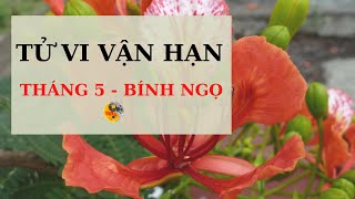 Những Lưu Ý Về Tử Vi Vận Hạn Tháng 5   Bính Ngọ năm 2022