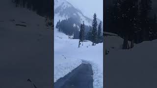 guldanda Bhaderwah #freshsnowfall #trendingreels #shortfeed #pahadishadi