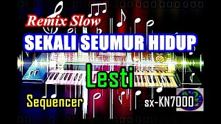 Lesti - Sekali Seumur Hidup | Remix Slow [Karaoke] | sx-KN7000