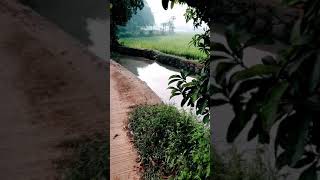 Setu Agriculture 2