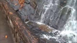 Deep Creek Waterfalls, Great Smoky Mountains