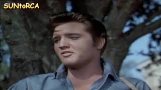 Elvis Presley - Got A Lot O' Livin' To Do (Video Edit)