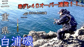 【三重県・白浦磯】グレの宝庫、ダイヤ磯（低場）で激渋グレを釣研・小型自立棒ウキ・T-LANCERで40オーバ連発！！