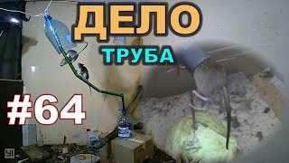 #64. Охота на КРЫС с комплексом “HWRAT-HUNTER“. Дело труба