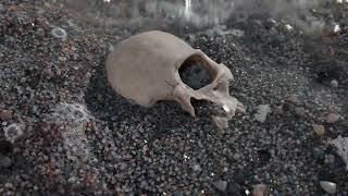 Houdini skull beach by Matthieu Pujol | SPOTLIGHT