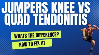 Jumpers Knee Vs Quad Tendon Issues or quadriceps tendonitis