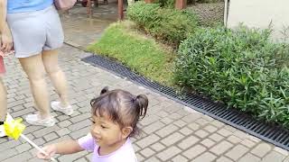 Vlog naura indira lihat hewan di cimory dairyland puncak