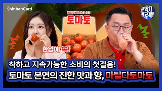 [착지프로젝트3] 신한카드와 함께 착하고 지속가능한 소비를 위한 첫걸음! 토마토 본연의 진한 맛과 향, 마틸다 토마토 편🍅