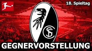 SC Freiburg vs. Arminia Bielefeld - 18. Spieltag / Gegnervorstellung SC FREIBURG