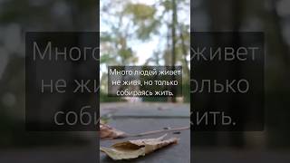 Много людей живет не живя, но только собираясь жить#фаберлик