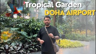 Jungle me Airport | The Orchard Doha Airport’s indoor Tropical Garden