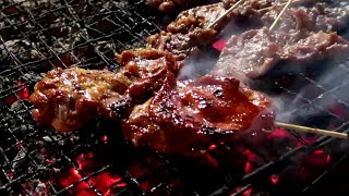 Barbecued Chicken and Pork on the Grill With Light Chacoal - Thai Street Food