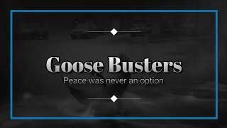 Goose Busters