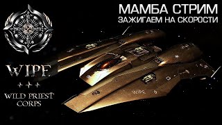 Elite Dangerous. Мамба стрим. Все о Мамбе под хорошую музыку.