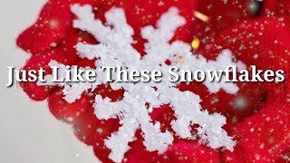 Just Like These Snowflakes❄️ | Made of Snow | Stardust Music