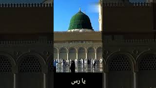 ya nabi Salam alaikaیا نبی سلام علیک #youtubeshorts #islamiclibrary