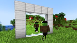 mirror in minecraft