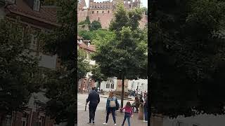 Walking around Germany. Old town of Heidelberg. #travel #spring #europe #nature #birds #tourist