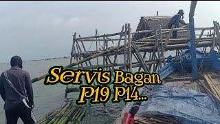 Servis Seharian|||Servis Bagan Tua...