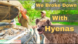 We broke down with Hyenas Lurking! Senegal, Fathala Wildlife Reserve (RaymanMufasa Vlog 12)