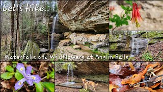 Waterfalls and Wildflowers at Anglin Falls - After Work Hike - Kentucky - 4/12/24