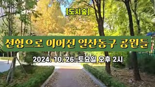 [도시숲] 선형으로 이어진 일산동구 공원들 🍁 2024. 10. 26. 토요일 오후 2시 촬영 📽️