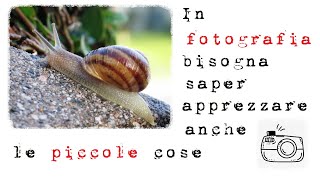 In fotografia bisogna saper apprezzare anche le piccole cose