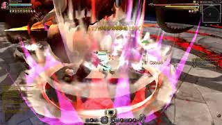 [ PROJECT HUNTER ] Dragon Nest - Barbarian STG Lab 28