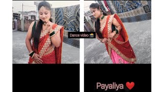 Payaliya |Latest New Garhwali Dj  song 2020 | Shivam Nautiyal |Anisha Rangar & Raj Tiger |Y Series |