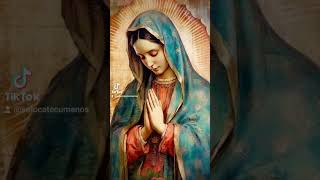 Santa María ven 🙏 #buenasnoches #guadalupe #virgendeguadalupe #fe #maria #virgenmaria #madredelcielo