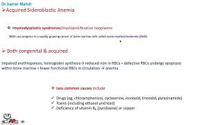 7 Sideroblastic Anemias