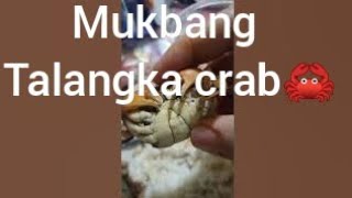 Mukbang small crab talangka halabos with dilis at tuyo at tortang talong @solar101ph