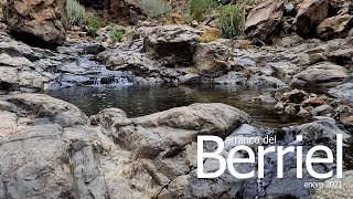 Barranco del Berriel (enero 2021) #GranCanaria #Berriel #BarrancoBerriel