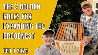 The 2 Golden Rules for Expanding the Broodnest - Jacksonville FL Zone 9b