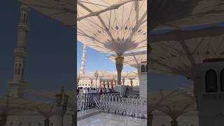 Kabr ka khof  #madina #rozarasool